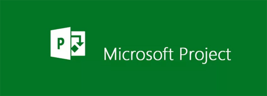 Microsoft Project Training